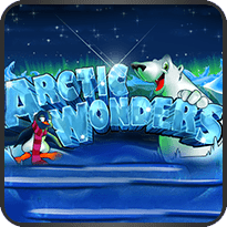 Arctic-Wonders