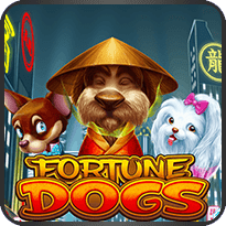 Fortune-Dogs