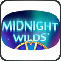 Midnight-Wild