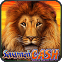 Savannah-Cash