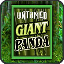 Untamed-Giant-Panda